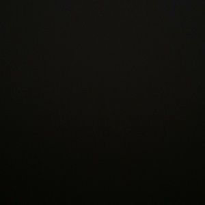 Meet your Posher, Ronni